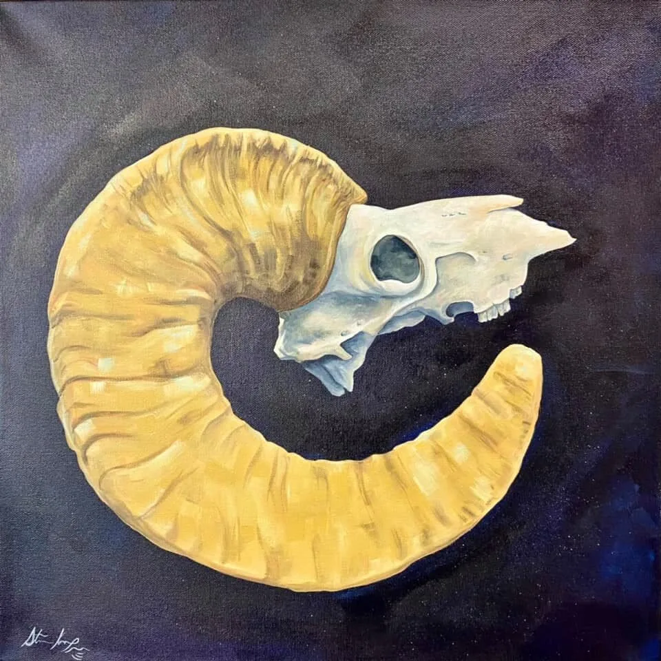 Big Horn Skull, original painting by Wyoming fine artist Steve Knox